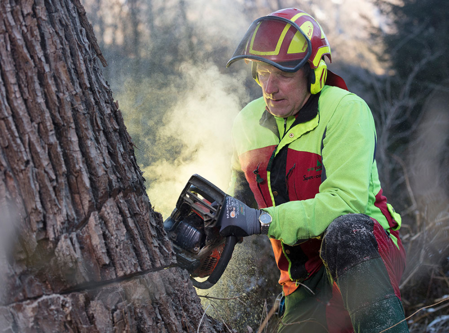 Business-Shooting © Tanja Cammerlander