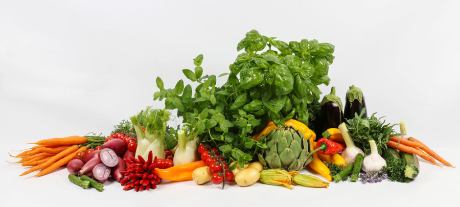 Food-Shooting © Tanja Cammerlander